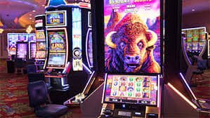 3355bet app